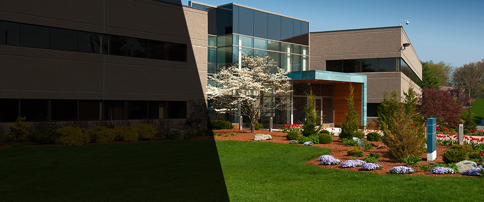 Morton Grove Landscapers