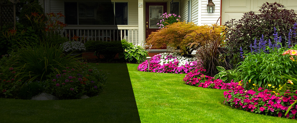 Morton Grove Landscapers
