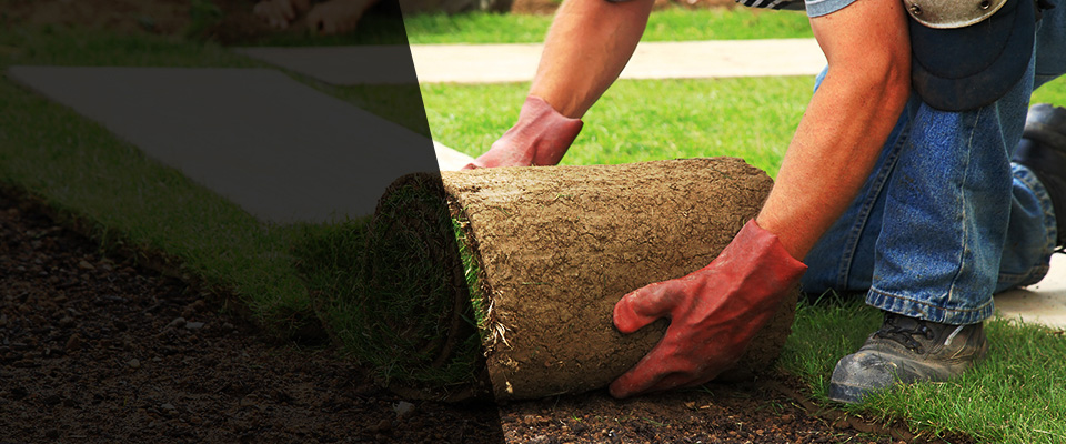 Morton Grove Landscapers